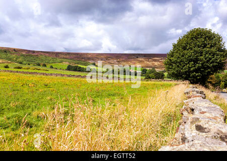 Una vista più grande Fryup Dale vicino Danby, North York Moors National Park, North Yorkshire, Inghilterra, Regno Unito, Europa. Foto Stock