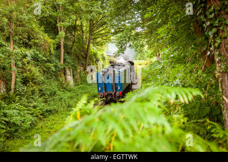 Una locomotiva a vapore 60007 Sir Nigel Gresley sulla North Yorkshire Moors Railway viaggiare attraverso Beck foro. Foto Stock