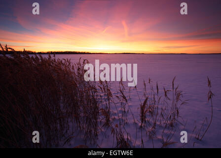 Congelati e gelido lago Saadjärv in inverno al tramonto, Vooremaa riserva paesaggistica, Estonia. Foto Stock