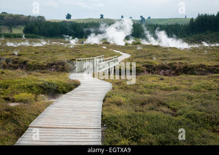 Crateri della luna area geotermica, Taupo, Waikato, Isola del nord, Nuova Zelanda. Foto Stock