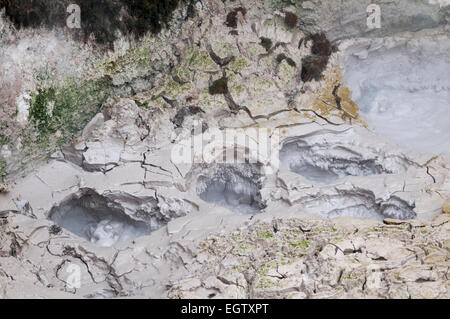 Crateri della luna area geotermica, Taupo, Waikato, Isola del nord, Nuova Zelanda. Foto Stock