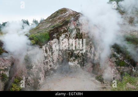 Crateri della luna area geotermica, Taupo, Waikato, Isola del nord, Nuova Zelanda. Foto Stock