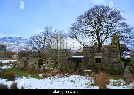 Casa in rovina nelle vicinanze Llyn Celyn, Snowdonia Foto Stock