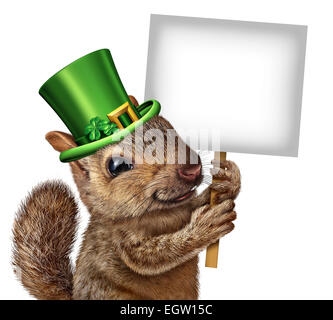 La molla di scoiattolo Nozione di segno come carino felice wildlife indossando un lucky green saint patricks giorno hat con quattro trifogli foglia holding Foto Stock