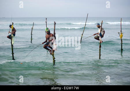 Stilt pescatori di Koggala, Sri Lanka Foto Stock