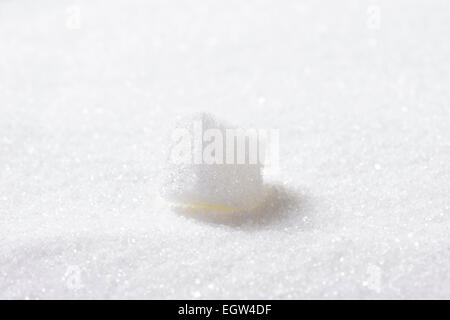 Una zolletta di zucchero sul letto di zucchero semolato Foto Stock