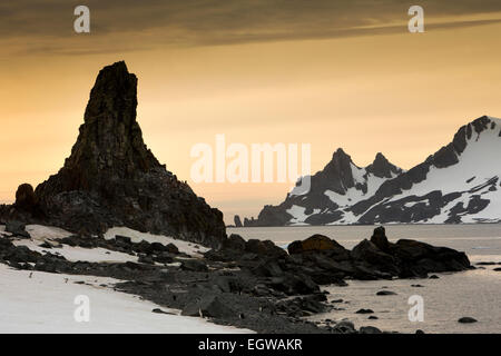 L'Antartide, Mezza Luna è, Baliza Hill, pinguini Chinstrap rookery affacciato su Livingston Island all'alba Foto Stock