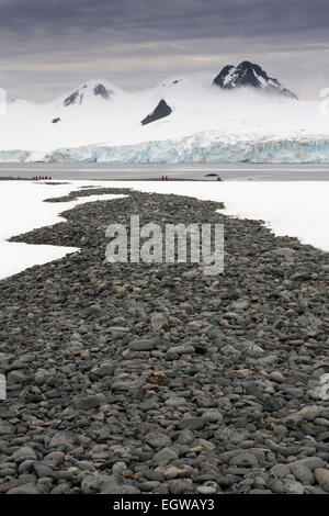 L'Antartide, Half Moon Island Beach, morena di rocce di granito sulla spiaggia Foto Stock