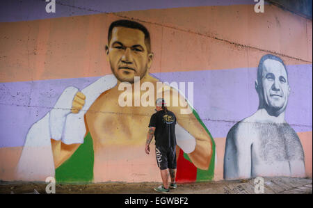 Un grafitti artista dipinge un murale del boxer bulgaro Kubrat Pulev, aka il Cobra, su una parete sotto un ponte a sostegno di imbattuto pesi massimi titolo mondiale lotta contro il campione in carica Wladimir Klitchko. A fianco del Cobra è un ritratto della legenda Foto Stock