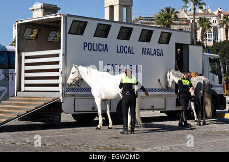 Lo spagnolo gli ufficiali di polizia la preparazione di cavalli prima di pattugliamento city, Malaga, Spagna. Foto Stock