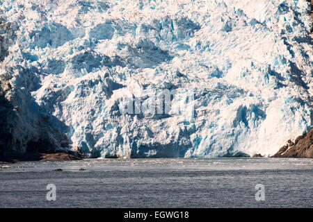 Holande (Olanda) Glacier vicolo lungo il Canale di Beagle Cile Cordillera Darwin montagne America del Sud Patagonia meridionale Foto Stock
