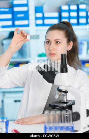 Donna assistente di laboratorio studi vetrini per microscopio Foto Stock