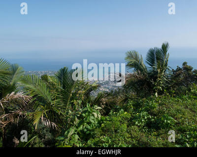 Arbusti palme e giardini tropicali monte Isabel de Torres Parco nazionale al di sopra di Puerto Plata Repubblica Dominicana sulla bella giornata inverni meteo blue sky Foto Stock