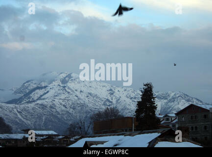 Srinagar, Indiano Kashmir amministrato. 3 Marzo, 2015. Piegons vola sopra a monti zabarwan come la luce del sole riflette la maggior parte della valle del Kashmir ricevuto nevicata fresca sul credito di ieri: Sofi Suhail/Alamy Live News Foto Stock