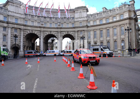 Londra, Regno Unito. 03 Mar, 2015. La sicurezza è saldamente nella preparazione per la visita di Stato. Credito: Rachel Megawhat/Alamy Live News Foto Stock