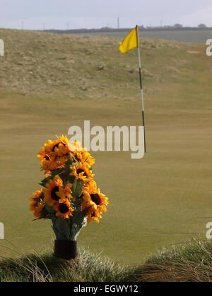 Vaso di fiori sul lato di una golf verde grossolana, Trevose Golf Club, Cornwall, Regno Unito Foto Stock