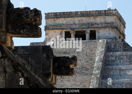 Jaguar capi sulla piattaforma di Venere di fronte a El Castillo Chichen Itza, Yucatan, Messico Foto Stock
