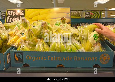 Gli acquirenti di banane biologiche del commercio equo e solidale selezionano a mano un sacchetto di plastica in scatole di cartone sugli scaffali frutta in un grande supermercato alimentare Tesco Inghilterra Regno Unito Foto Stock