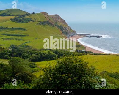 Vista in estate dal Golden Cap verso Seatown e le drammatiche scogliere di arenaria della Jurassic Coast in West Dorset England Regno Unito Foto Stock