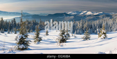 Panorama di montagne coperte di neve e gli alberi dei Carpazi Foto Stock