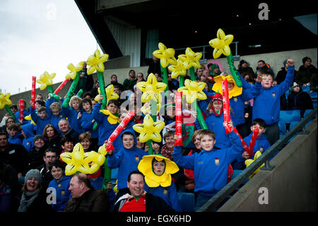 Londra rugby gallese sostenitori celebrare in San Davide's Day (1 marzo 2015) e agitando il daffodils gonfiabile Foto Stock