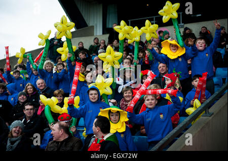 Londra rugby gallese sostenitori celebrare in San Davide's Day (1 marzo 2015) e agitando il daffodils gonfiabile Foto Stock