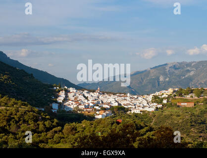 Cortes de la Frontera nella provincia di Malaga, Andalusia, Spagna meridionale. Villaggio bianco, pueblo blanco Foto Stock