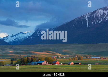 Il settore agricolo e di allevamento zona vicino a Giuseppe, di Oregon si trova sotto le montagne Wallowa. molla. Stati Uniti d'America Foto Stock