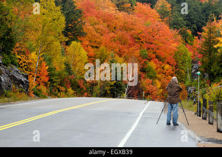 Fotografo sull'Autostrada 60 in autunno Algonquin Provincial Park Ontario Canada Foto Stock