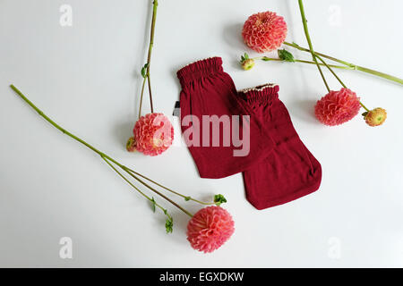Pelle mits per esfoliazione del corpo Foto Stock