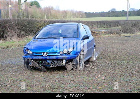 Vettura incidentata attraverso Hedge in campo agricolo. Foto Stock