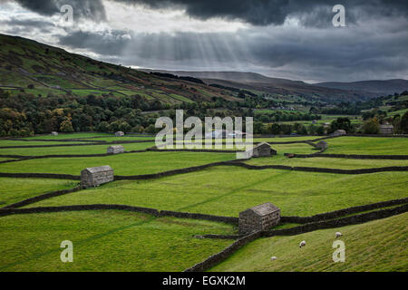 Fienili in pietra e muri in pietra a secco vicino Gunnerside, Swaledale, in tempesta di compensazione Foto Stock