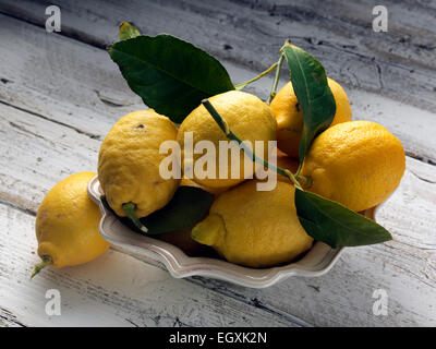 Limoni Foto Stock