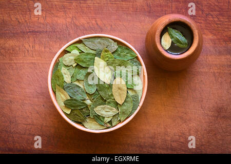 Colpo di overhead di secche foglie di coca nella ciotola con freschi tè di coca (mate de coca) su legno, fotografati con luce naturale Foto Stock