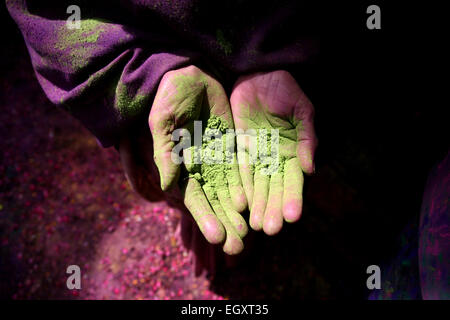 Ashram, Vrindavan, India. 03 Mar, 2015. Le vedove indù giocare polvere colorata come una parte di Holi celebrazioni organizzate dalla ONG Sulabh International in un Ashram di Vrindavan. Holi è una festa di primavera conosciuto anche come il festival dei colori o il festival dell'amore. Si tratta di un antico indù festival religiosi che è diventata popolare con i non indù in molte parti dell Asia del Sud. © Anil Kumar/Pacific Press/Alamy Live News Credito: PACIFIC PRESS/Alamy Live News Foto Stock