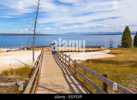 Parco Nazionale di Yellowstone, Wyoming Stati Uniti Settembre 20, 2014 - Il percorso che conduce al bordo del Lago Yellowstone. Foto Stock