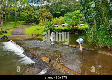 Attraversamento di fiume presso area picnic in Keahua arboreto forestale (parte del fiume Wailua parco dello stato), Kauai, Hawaii, STATI UNITI D'AMERICA Foto Stock