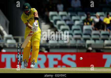 Perth, Australia. 04 Mar, 2015. ICC Cricket World Cup. Australia contro l'Afghanistan. Aaron Finch difende. Credito: Azione Sport Plus/Alamy Live News Foto Stock