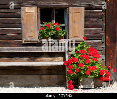 Finestra con gerani, agriturismo, open-air museum Großgmain, Großgmain, Stato di Salisburgo, Austria Foto Stock