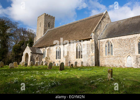 Snowdrops nella Chiesa Paston cantiere, North Norfolk, Regno Unito. Foto Stock