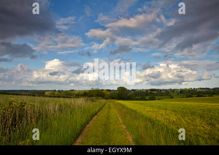 Angoli modo sentiero in Norfolk, Regno Unito Foto Stock