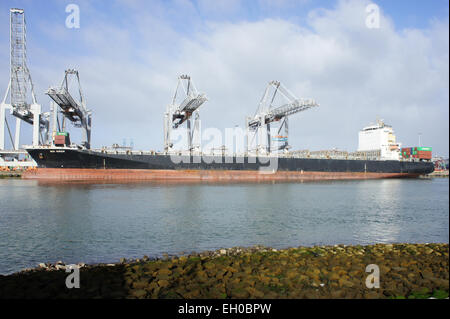 Box Queen - IMO 9252096 - Callsign DDAL 2, Amazonehaven, porto di Rotterdam, pic2 Foto Stock