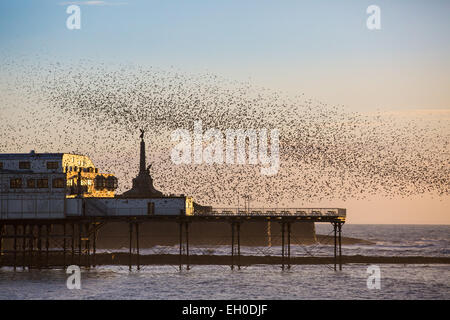 Aberystwyth, Wales, Regno Unito. 4 marzo 2015. Meteo. Alla fine di una bella giornata di sole di primavera come giorno storni raccogliere oltre il molo e Memoriale di guerra a Aberystwyth prima di stabilirsi a roost per la notte del credito: Alan Hale/Alamy Live News Foto Stock