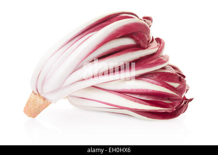 Radicchio Rosso di Treviso Foto Stock