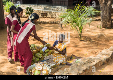 Donna vendita di noci di cocco per studentesse a DakshinaChitra Heritage Museum vicino a Chennai, Tamil Nadu, nell India meridionale Foto Stock