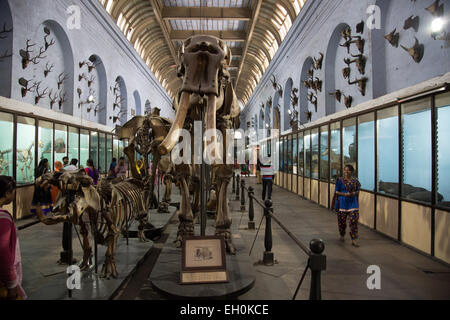 Il Museo Indiano Kolkata originato dalla società asiatica del Bengala. Foto Stock
