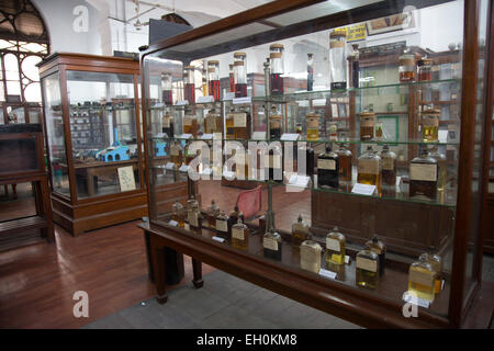Il Museo Indiano Kolkata originato dalla società asiatica del Bengala. Foto Stock