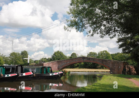 Noleggio barche appartenenti al canal narrowboat holiday azienda Anglo Welsh accanto al ponte Haywood a grande Haywood in Staffordshire Foto Stock