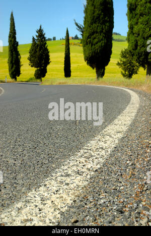 Cipressi lungo la strada curva in primavera, Val d'Orcia, Toscana, Italia Foto Stock