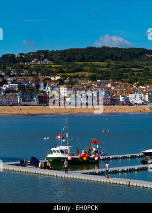 Barche ormeggiate nel porto di Lyme Regis una vacanza popolare e porto di pesca della Jurassic Coast Dorset South West England Regno Unito Foto Stock